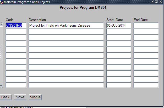 Maintain Projects Form