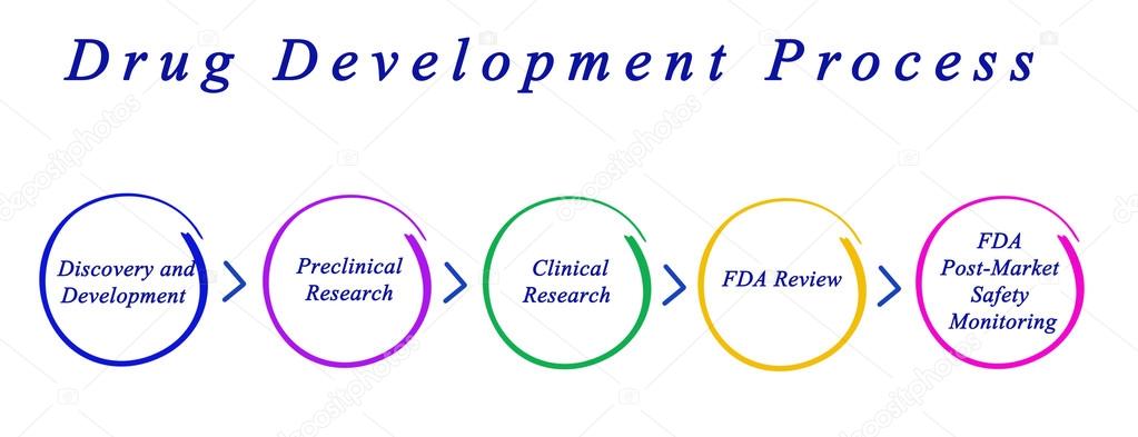 drug development process