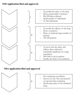 drug development process