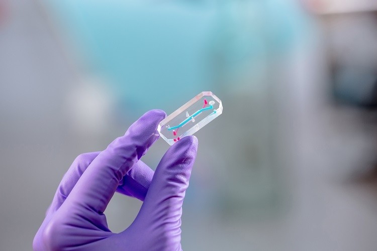 Clinical Trial Emulation